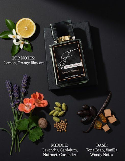 Dream Essence – Eau de Parfum | Scents Fantacy
